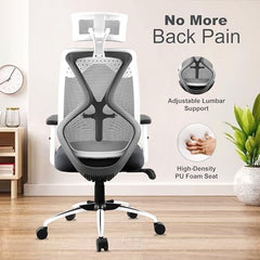 ASTRIDE Ergofit ISI Certified Ergonomic Office Chair for Work | 2D Headrest, Adjustable Arms & Lumbar Support | Single Lock Mechanism DIY [Grey-White]