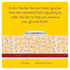 Abbott | FreeStyle Libre Blood Glucose Sensor | Get Continuous Sugar Monitoring Day & Night | Helps Reduce the Risk of Diabetes-Related Complications | No Finger Pricks or Test Strips Needed | Pack of 1