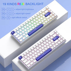 MageGee Portable 60% Mechanical Gaming Keyboard, MK-Box LED Backlit Compact 68 Keys Mini Wired Office Keyboard with Blue Switch for Windows Laptop PC Mac - Blue/White
