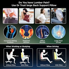 Dr Trust USA Backrest for Car Seat, Office Chair to Sit Up Right, Orthopaedic Memory Foam Cushion/Pillow Back Pain Relief, Lumbar Support, Spine Alignment, and Posture Correction - 360, Black