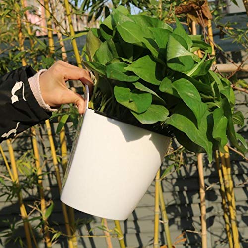Syga Wall Hanging Plastic Self-Watering Plant Flower Pot Planter_Blue