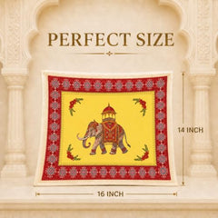 Choego New Season Wedding Print Saree Cover Pack of 12 | Zip closure, Doli Print Reusable storage bags, Ideal for bridal designer sarees, Wardrobe organizer, One side transparent