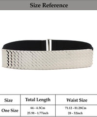 SYGA Decorative Belt For Women, Metal Elastic Waistband, Fashionable Fish Scale Pattern Elastic Wide Belt, Versatile For Dresses And Dresses(Silver)