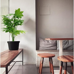 AAVANA GREENS Plastic 40 Inch Artificial Flower Plant for Indoor and Outdoor, Home, Shop, Office, Restaurant Decoration Dark Green (Pack of 1) (1, Plant 8 - with Pot)