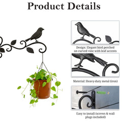 STANSY Decorative Iron Wall Hanging Plant Bracket, Bird and Leaf Design, Heavy Duty Wall Mount Hook, Black, Set of 1
