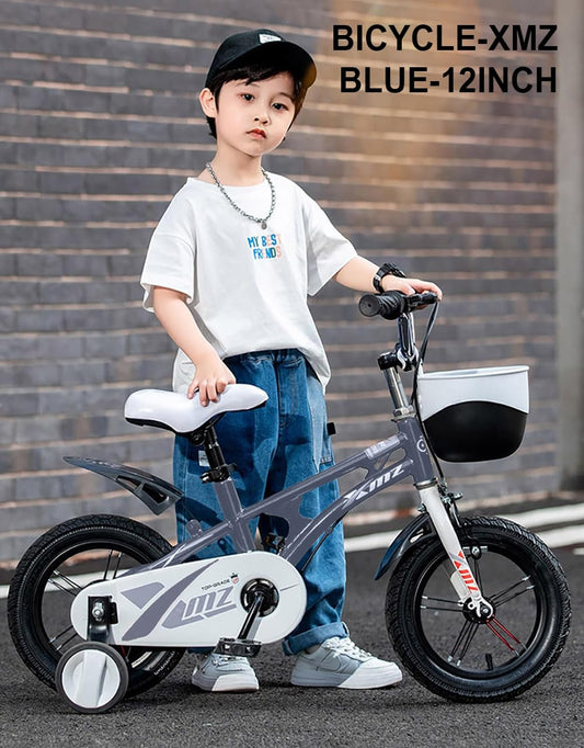 SYGA Bicycles for Kids 2-5 Years Old 12-inch Children's Basket Bicycle Magnesium Alloy (12INCH, Blue)