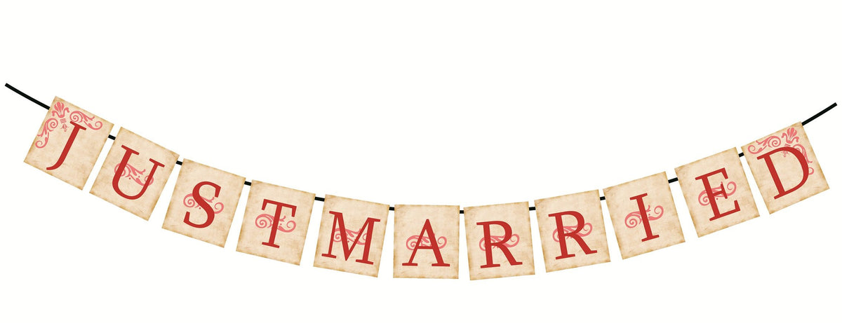 Just Married Banner Photo Props