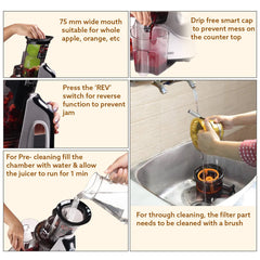 AGARO Imperial Slow Juicer, Professional Cold Press Whole Slow Juicer, 240 Watts Power Motor, 3 Strainers, All-in-1 Fruit & Vegetable Juicer, Grey/Black