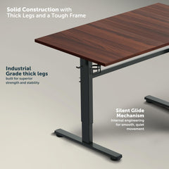 Jin Office Octave Height Adjustable Desk Electric | Sit Stand Table, 80 Kg Wt. Cap, 2 Year Warranty| Standing Desk with Memory Preset, Cup Holder| Stability Crossbar| Brown 1200*750mm/25mm Thick Top