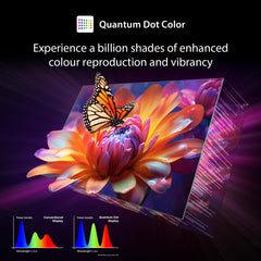TOSHIBA 139 cm (55 inches) Z570RP Series 4K Ultra HD Smart QLED TV 55Z570RP