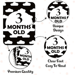 Syga Paper Baby Milestone Multicolour Cards for 0 to 1 Year Old Baby- Set of 27