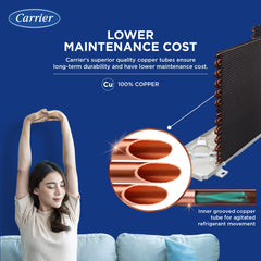 Carrier 1 Ton 3 Star AI Flexicool Inverter Split AC (Copper, Convertible 6-in-1 Cooling,Dual Filtration with HD & PM 2.5 Filter, Auto Cleanser, ESTER NEO+ Exi, CAI12ER3R34F0,White)